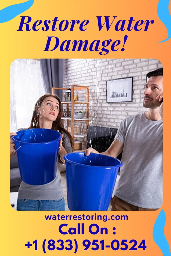 water restoration Royal Restoration Solutions LLC Patrick AFB